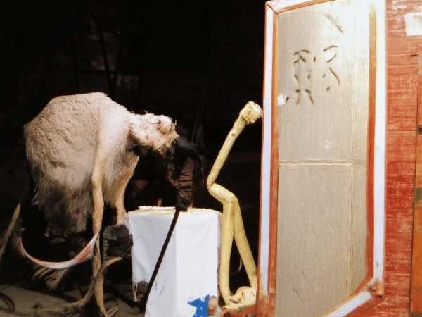 秀色天香，成语雅韵探幽