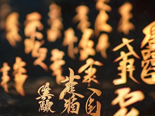 成语的魅力解析，字里行间的智慧宝藏