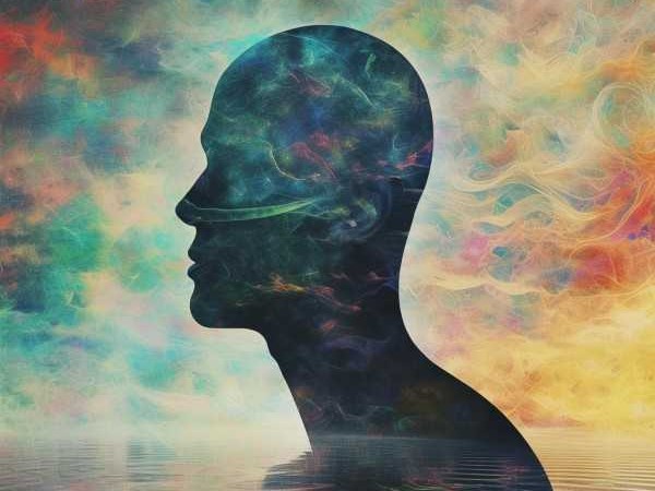 人性多变的奥秘，探寻形容人反复无常的成语解析