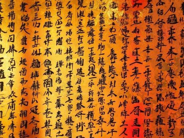成语宝库，文化智慧与语言艺术的瑰宝集锦