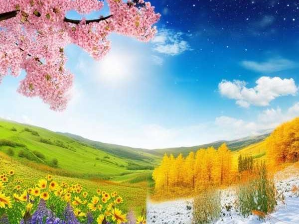 成语中的四季变迁，春夏秋冬的成语智慧