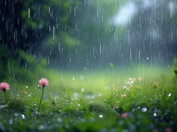 春雨润无声——成语细雨如丝赏析