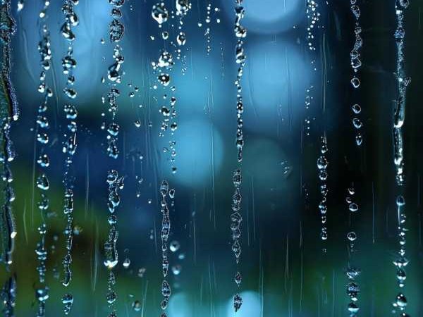 雨韵诗窗，成语中的雨声意境