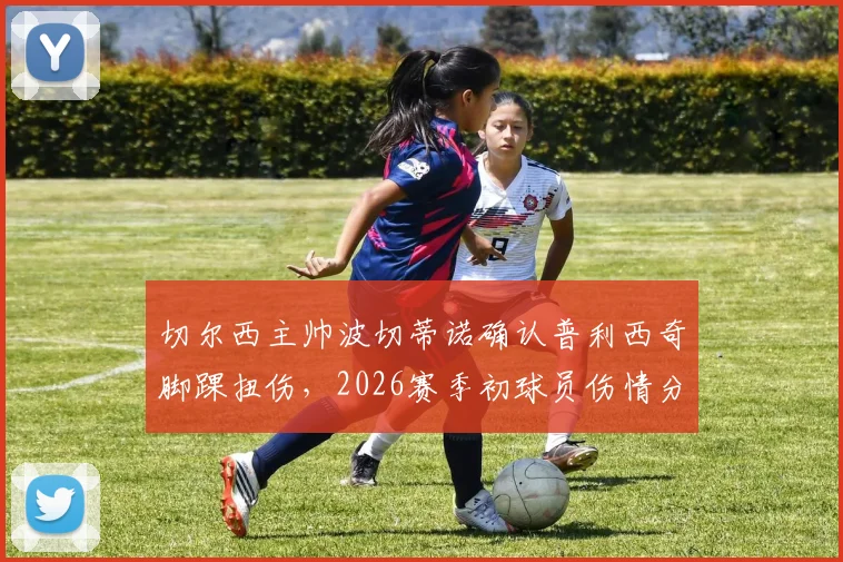 切尔西主帅波切蒂诺确认普利西奇脚踝扭伤，2026赛季初球员伤情分析与康复时间预估